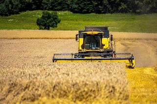 Rekordní zisk, a pak propad. Zemědělce čeká po skvělém roce těžké pokračování - Novinky